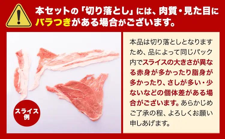 豚肉 バラエティセット 4.6kg 豚肉 バラ肉 訳あり