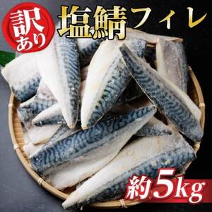 【訳あり】ノルウェー産　塩さば　フィレ　約5kg【配送不可地域：離島】【1697928】