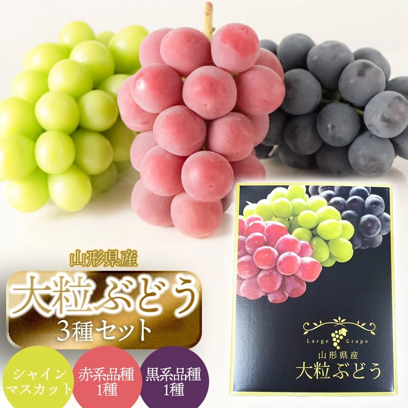 【令和7年産 先行予約】大粒ぶどう3種 約2kg 丸果庄内青果