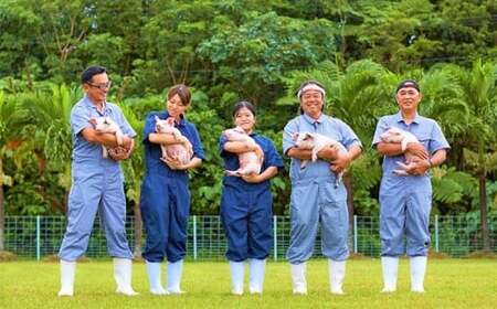 東村産アグーブランド豚『パイとん』厚切りステーキ用 約１-1.5cm 600g（バラ）