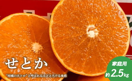 【せとか】【家庭用】  約2.5kg せとか 愛媛県松山市 【TMN103_x】
