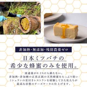【砂糖・小麦粉不使用スイーツケーキ】生はちみつチーズケーキ [CU01]