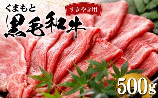
            FKP9-555 くまもと黒毛和牛 すきやき用 500g
          