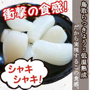 ふぞろいらっきょう甘酢漬け 190gｘ20袋 【低温熟成 無添加】
