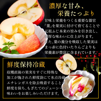 [先行受付] 葉とらずサンふじ 大玉 約3kg(6～8玉) ご家庭用 青森県産【配送不可地域：離島・沖縄県】