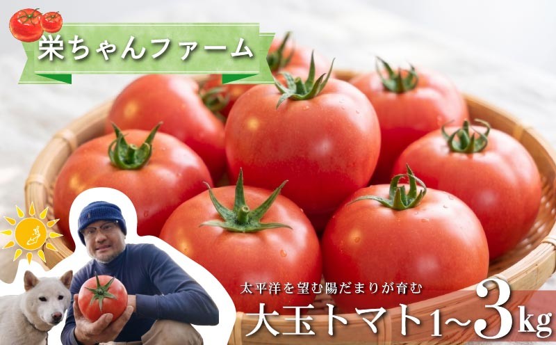 
                  【先行予約】2027年 選べる 発送月 容量 大玉トマト 良品 容量 1kg 2kg 3kg 発送月 2月 3月 4月 5月 トマト とまと 野菜 旬 サラダ パスタ 季節限定 産地直送 大玉トマト 新鮮 季節 贈り物 ギフト 贈答 プレゼント 御弁当 おかず サラダ トマトジュース tomato 静岡県産 栄ちゃんファーム 静岡県 下田市
                