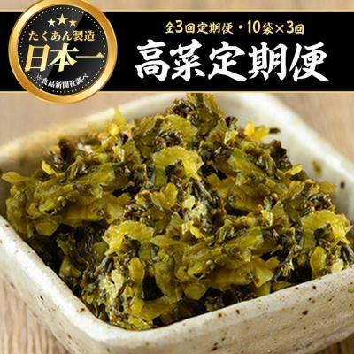 ふるさと納税 曽於市 【3回定期】九州高菜(200g×10袋×3回)