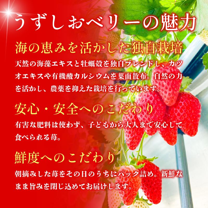 いちご カタラーナ 8個 | いちご プリン ぷりん カタラーナ アイス あいす アイスクリーム スイーツ お菓子 洋菓子 おやつ 濃厚 カスタード ベリー ソース ギフト プレゼント 贈り物 冷凍 