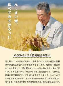【令和7年産米】2026年7月上旬発送 雪若丸 10kg（5kg×2袋）山形県産 【米COMEかほく協同組合】