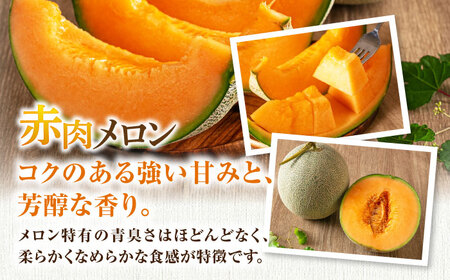 【ニセコ町産】赤肉＆青肉メロンセット２玉  化粧箱入り 2024年発送