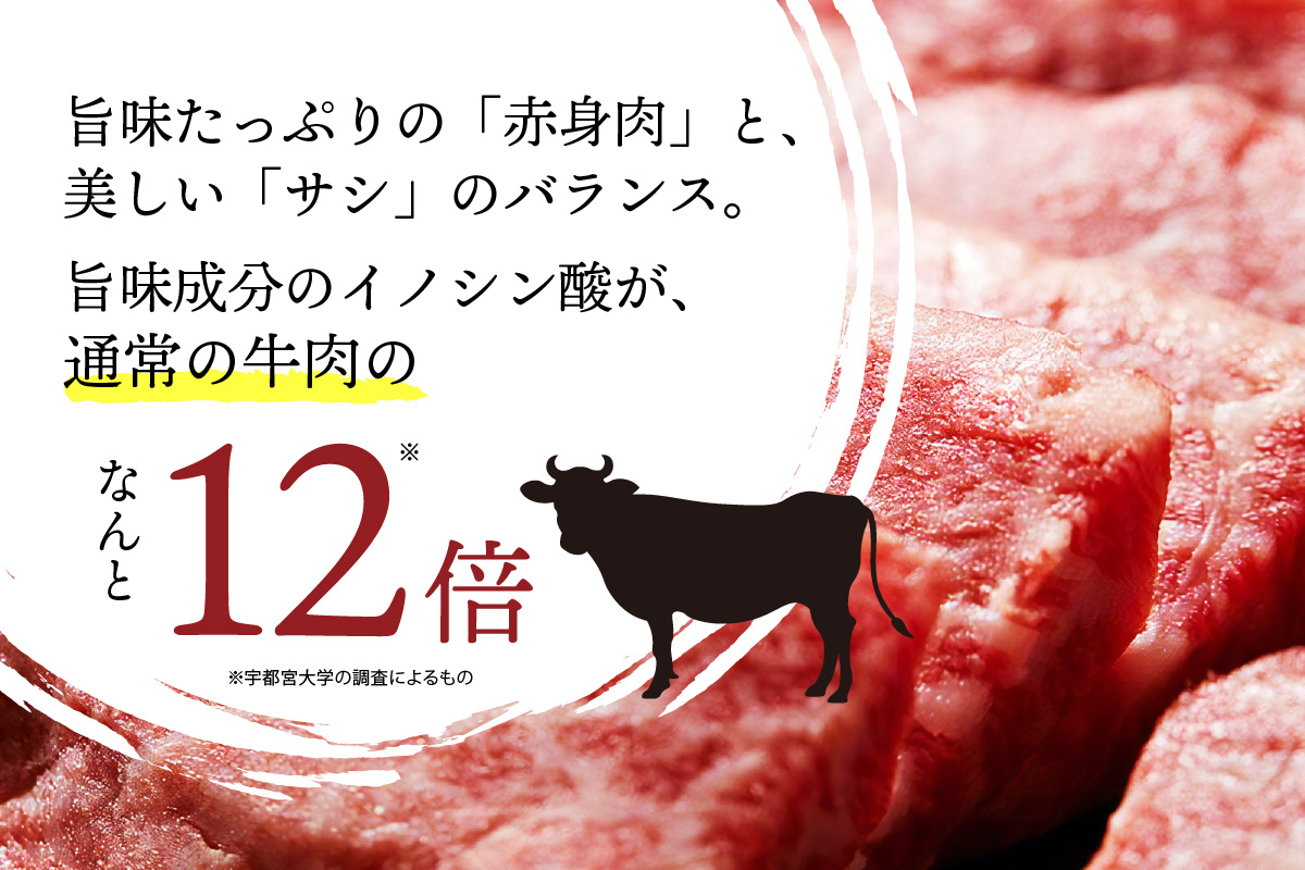 京たんくろ和牛の焼肉　京丹後市　500ｇ(2～3人前)　NH00002