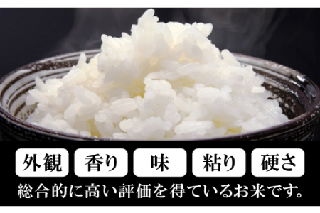 【毎月25日配送】【先行予約】出雲國仁多米2kg定期便5回【仁多米 コシヒカリ こしひかり 定期便 2kg 5回 合計10kg 小分け 便利 ブランド米 お米 米 精米 白米 人気 新米 令和6年度産