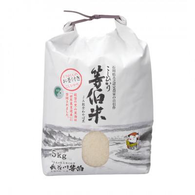 ふるさと納税 七尾市 【令和8年産】等伯米コシヒカリ5kg (5kg×1袋) |  | 01