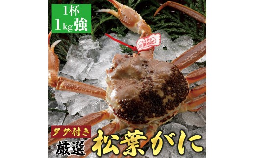 756.【活】【2027年1月～2027年3月発送】 特撰 松葉がに（なま）【ブランドタグ付き】1kg超の大きいサイズ 食べ応えあり 特大1杯【ブランド 蟹 タグ付き 生 ナマ かに 松葉ガニ 松葉蟹 カニ味噌 みそ 訳あり 家庭用 鳥取県産 おすすめ 人気】