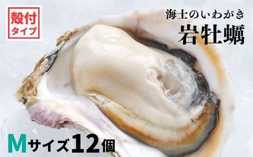 【海士のいわがき】新鮮クリーミーな高級岩牡蠣 殻付きMサイズ×12個