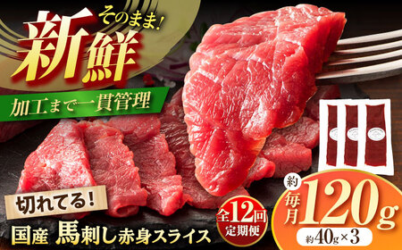 【全12回定期便】まな板不要! フジチク 切れてる 国産馬刺し 3P 計約120g 馬刺し 馬刺し 馬刺し 馬刺し 馬刺し[BHAD104]