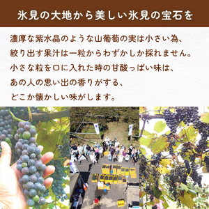 【先行予約】氷見山葡萄60%ジュース 180ml×8 ＜4月以降順次発送＞  富山県 氷見市 やまぶどう フルーツ 果物