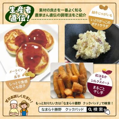 ふるさと納税 芽室町 北海道十勝芽室町　なまら十勝野のいもづくし 7種 計4kg me001-048c |  | 02