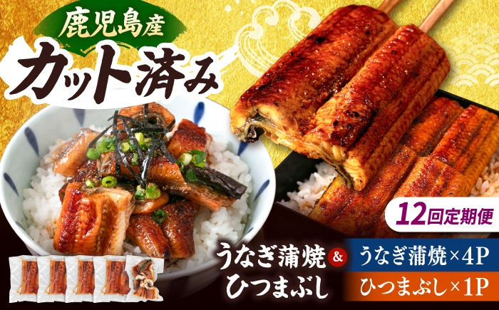 
                  【全12回定期便】 国産 うなぎの蒲焼 約70g×4Pとひつまぶしセット ▼ うなぎ 鰻 ウナギ 蒲焼 蒲焼き ひつまぶし 定期便 桂川町/山水商事[ADAH042]
                