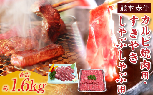 
熊本 赤牛 カルビ 焼肉用 約800g・ すきやき しゃぶしゃぶ用 約800g 計1.6kg 牛肉 熊本県産 カット済み
