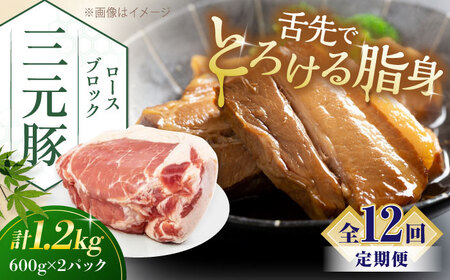 【全12回定期便】三元豚 ロースブロック1.2kg（600g×2パック）《喜茂別町》【平田牧場】 肉 豚肉 ロース ブロック ローストポーク 煮豚 酢豚 煮物 冷凍配送[AJAP101]