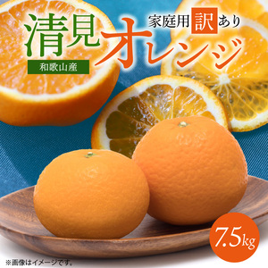 【2027年先行予約】紀州有田産 清見 オレンジ 7.5kg【家庭用 訳あり】_G7067