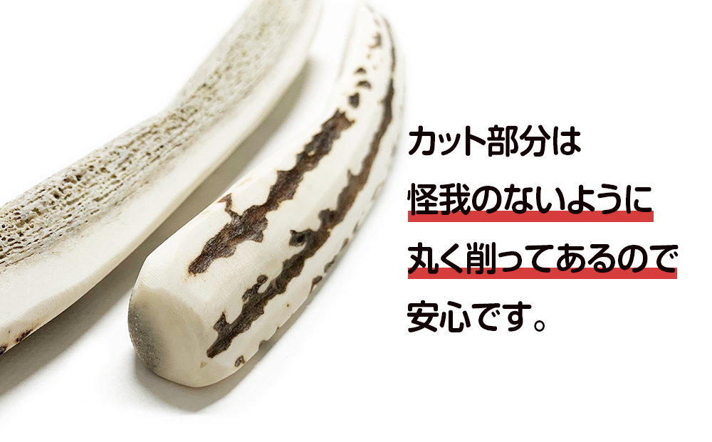 鹿の角 エゾシカ 犬のおもちゃ 『鹿角さん』 中型犬用　四つ割り　2本セット CB030_イメージ2