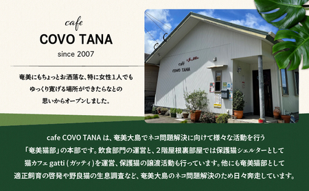 【 奄美 の 保護猫支援 （ ワクチン 代 ）】 ＋ ポストカード ＆ クリアファイル セット A071-009 お手紙 猫デザイン 3種 オリジナルポストカード A4サイズクリアファイル 保護猫プロ