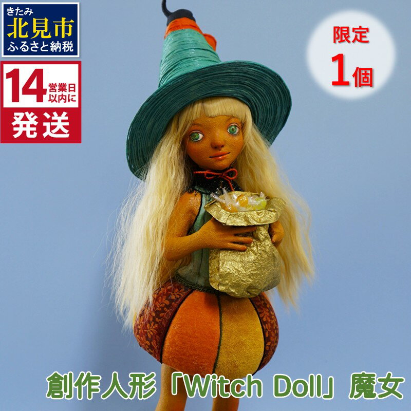 【ふるさと納税】【限定1個】《14営業日以内に発送》創作人形「Witch Doll」魔女