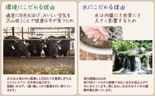 国産黒毛和牛 希少部位を含む特選焼肉セット 500g 部位おまかせ＜1.6-35＞牛肉 肉 黒毛和牛 ビーフ 西都市 決済完了後30日以内の発送