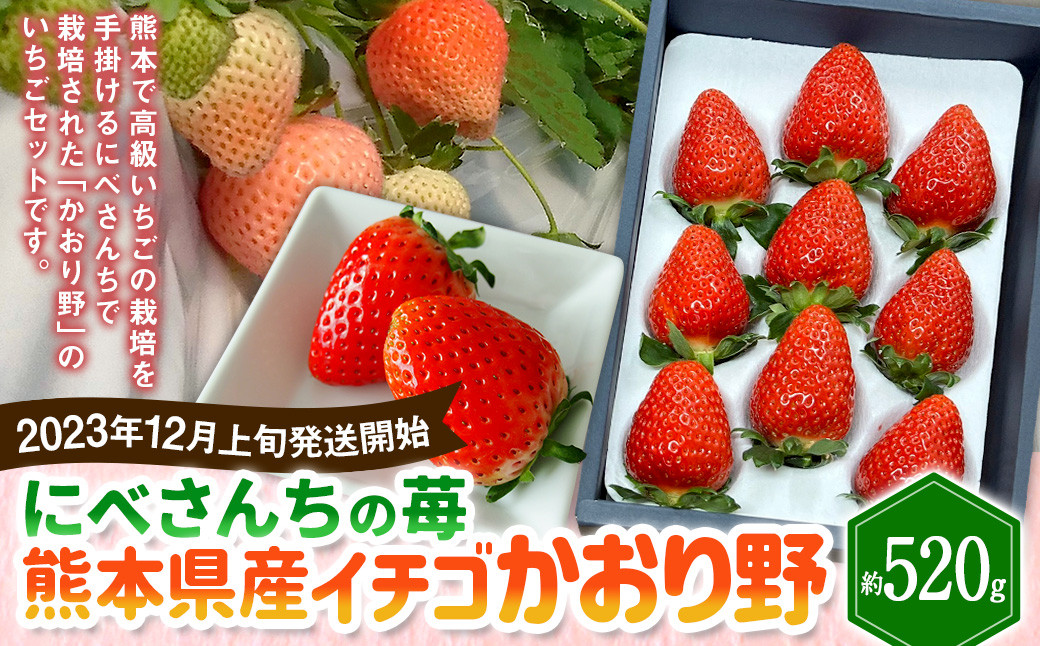 
にべさんちの苺 熊本県産イチゴかおり野 約520g 【2024年12月上旬発送開始】
