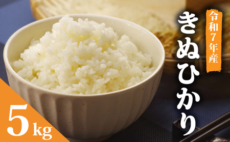 【令和7年産 白米】 キヌヒカリ 5kg お米 きぬひかり 米
