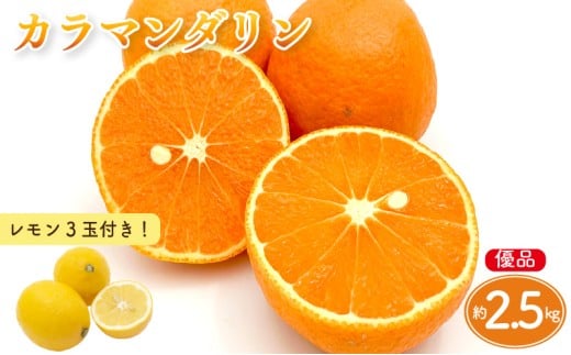 【先行予約】カラマンダリン 家庭用(優品) 約2.5kg & 瀬戸内海の島レモン 3玉 セット | 柑橘 レモン みかん 蜜柑 mikan 檸檬 オレンジ かんきつ セット【2026年3月下旬頃から発送予定】 瀬戸内海 愛媛県 松山市 ココオ Koko'o