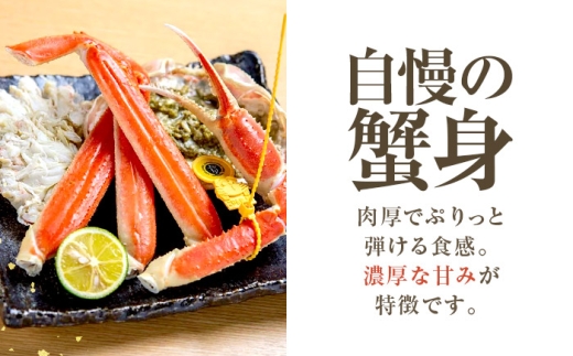 【先行予約】 【3月配送】 越前がに 1kg×1杯 小浜市 / まるほ商店 【配送不可地域：北海道・沖縄・離島】[BFCS030-3]