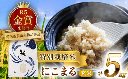 【11月発送】愛知県産にこまる 玄米5kg 特別栽培米 ご飯 玄米／戸典オペレーター [AECT018-11]