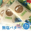 【ふるさと納税】酪農家が作った 自家製バター (無塩) 100g×3個 無塩バター 搾りたて生乳使用 手作り バター 宮城県 石巻市