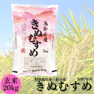 ふるさと納税 湯梨浜町 特別栽培米『原の米・きぬむすめ』◇玄米20kg◇令和8年産(51M.)