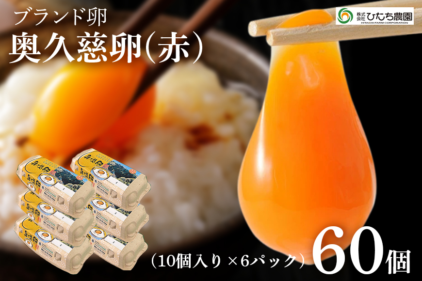 三ツ星レストランや一流料理人が愛するブランド卵『奥久慈卵』 赤 60個 たまご タマゴ ミネラル 茨城県 【ひたち農園】【ho1315】