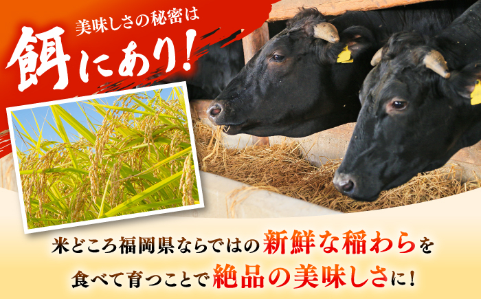 6回定期便 訳あり サーロインステーキ ＆ あまおう セット1.3kg