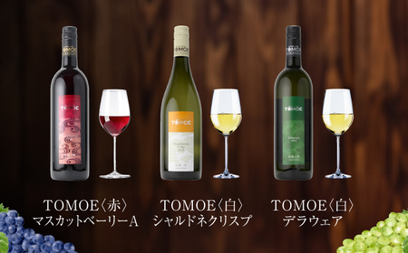 広島三次ワイナリー 3ブランド ワイン 9本セット 受賞 飲み比べ ワインセット ギフト 三次市 / 広島三次ワイナリー[APAZ041]