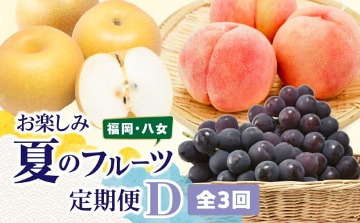 福岡八女　お楽しみ夏のフルーツ定期便Ｄ｜＜配送不可：北海道・沖縄・離島＞