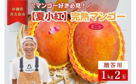 【2026年先行予約】【檬果家】マンゴー好き必見！沖縄限定　希少品種【夏小紅】１kg２玉　贈答用（HZ001）