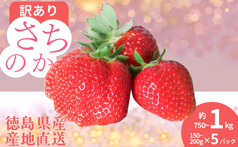 
                  【2027年1月より順次発送】訳あり いちご さちのか 5パック 1パック150g~200g 計約750g~1kg 季節限定 ブランド 苺 大粒 旬 産地 直送 期間限定 限定出荷 フレッシュ ストロベリー フルーツ 果物 くだもの 国産 洋菓子 和菓子 スイーツ お菓子 おやつ アイス ケーキ パフェ タルト ゼリー 人気 おいしい 甘い あまい 四国 徳島県 小松島市 
                
