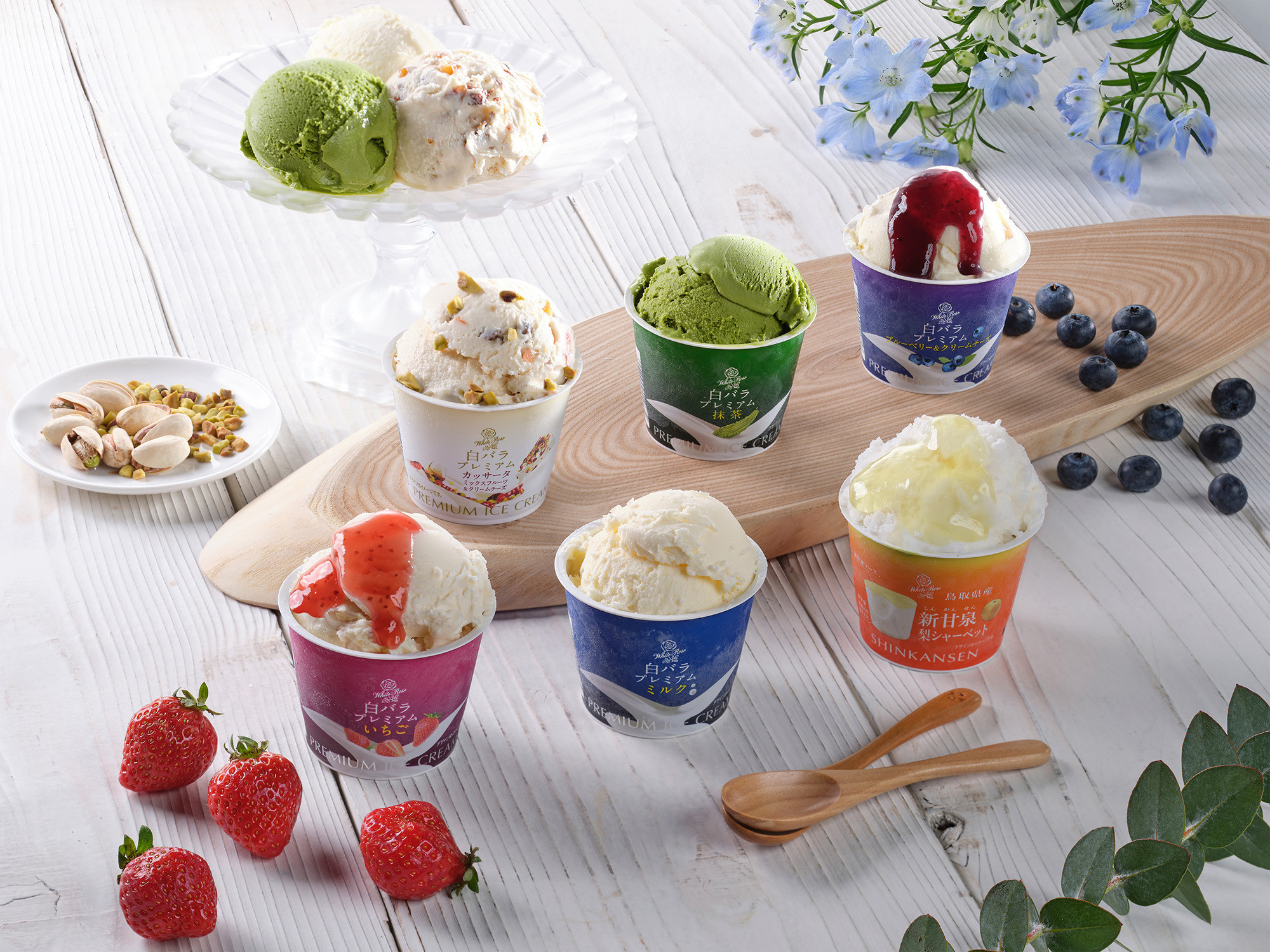 1080.2025 【定期便】大山乳業の３回お届けセット 313726_AH022