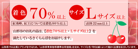 さくらんぼ 佐藤錦1kg(500g×2) L バラ詰め 【令和6年産先行予約】FU21-173