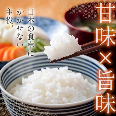 ふるさと納税 西都市 8月より発送【3ヶ月定期便】新米コシヒカリ無洗米 5kg×3回 令和8年産宮崎県西都市[3251] |  | 01