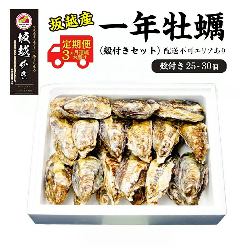 【ふるさと納税】 定期便 牡蠣 坂越かき 殻付き (25個～30個)牡蠣ナイフ付き【12月～2月(3ヶ月連続)お届け】 冬牡蠣 かき カキ 魚貝類 生牡蠣 　お届け：2025年12月上旬～2026年3月中旬