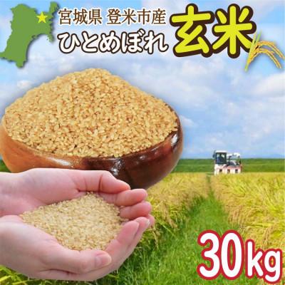 ふるさと納税 登米市 宮城県登米市産 ひとめぼれ 玄米 30kg【令和7年産】