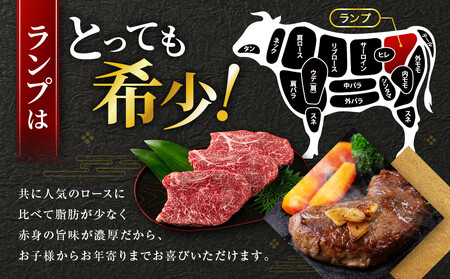 ステーキ 牛肉 国産 牛 ランプ ステーキ 計260g(130g×2枚) セット ソース付 希少 | ステーキ ステーキ ステーキ ステーキ ステーキ