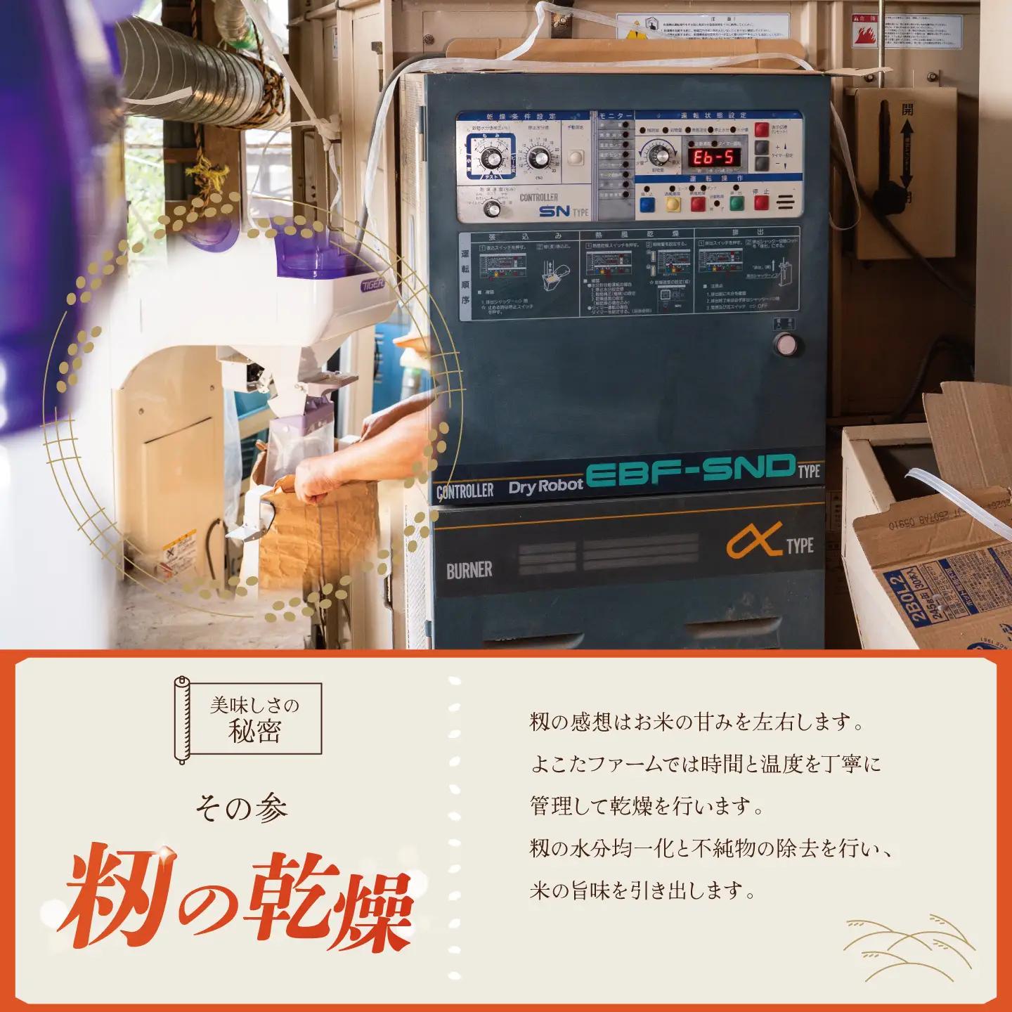 【12回定期便】令和8年産 コシヒカリ 玄米 10kg 新米 こしひかり